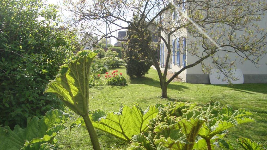 La Maison Claire Longueville  Zewnętrze zdjęcie